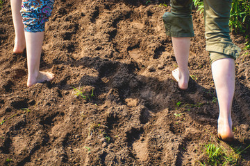 Walking barefoot through muddy road in nature. Barefoot trail. Shoeless womens legs. Grounding, or earthing, making contact with the earth. 