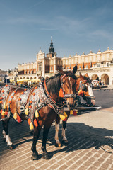 Fototapeta na wymiar Horses carriages at Main square in Krakow, Poland