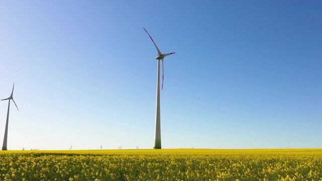 windkraftanlagen auf dem feld	mit Raps