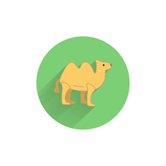 Camel colorful flat icon with long shadow. Camel flat icon