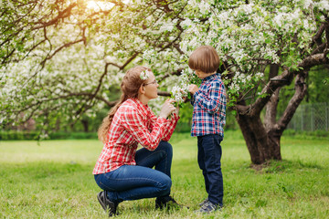 Naklejka na ściany i meble Mother and baby in blooming garden. Mom and child in spring. Springtime family scene. Flowers of apple or cherry tree.