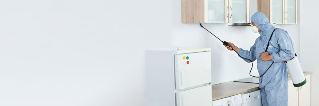 Pest Control Background Images – Browse 715 Stock Photos, Vectors, and