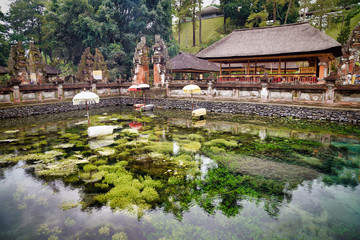 Fototapeta na wymiar A reservoir in the temple Pura Tirta Empul, where a spring of clear, crystal-clear fresh water flows from below. Balinese call this reservoir the source of eternal youth