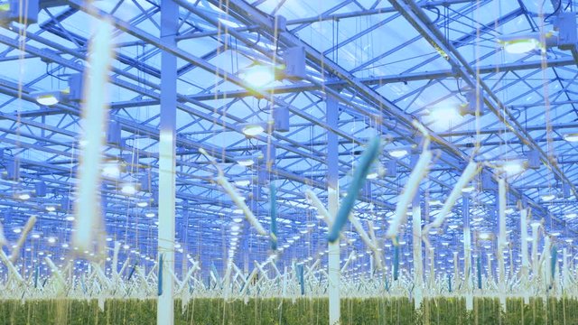 Lighting system in a spacious warmhouse