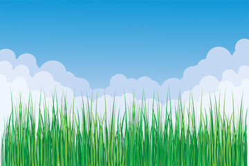 Fototapeta premium Springtime vector background illustration with flowers, and text space.