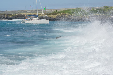 A catamaran entering the honokohau harbor on a day with a large swell. Big island of Hawaii. 