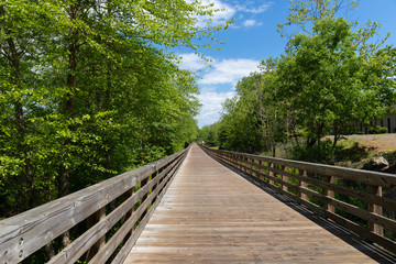 Obraz premium Long view down a public access elevated boardwalk through forest and wetlands, beautiful blue sky, horizontal aspect