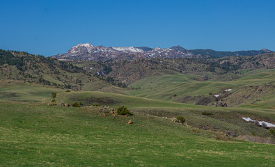 Obraz premium mountain landscape with cows