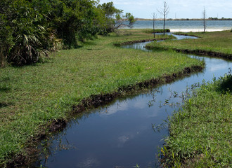 Winding creek leading to ocean