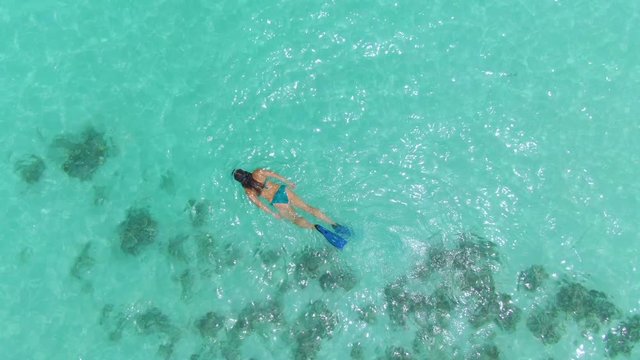AERIAL, TOP DOWN: Young female tourist on an active summer vacation in the Maldives snorkels around the turquoise ocean. Woman snorkels around the shallows and explores the recovering coral reef.