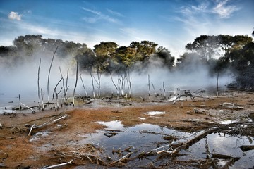 New Zealand, Kuirau Park with Kuirau Lake lies in the heart of Rotorua and is New Zealand's only geothermal public park. It is absolutely fascinating place to visit.