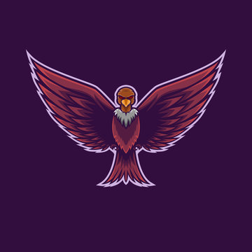 flying condor bird mascot logo. bird of prey mascot