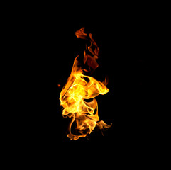 Fototapeta premium Fire flames collection isolated on black background