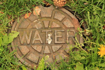 ninja turtle mailbox