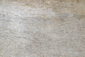 texture of bark wood use as natural background