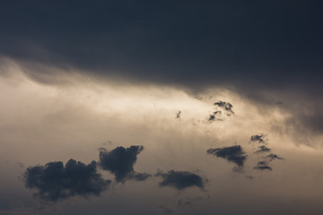 birds flying in the sky