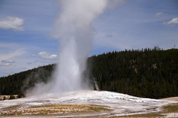 Eruption of the Old Faithful Geyser in Yellowstone