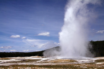 Eruption of the Old Faithful Geyser in Yellowstone