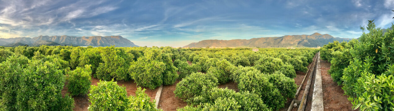 panoramica de benifairo de la valldigna 
