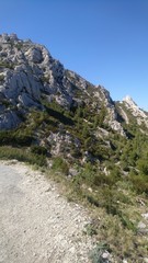 36,35,153,157.338684