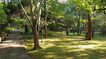 footpath in the park