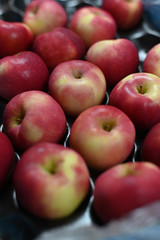 View of rosy red apples placed on a packing tray