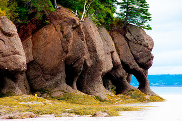 Hopewell Rocks - New Brunswick - Canada