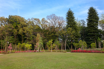 Obraz premium 石神井松の風文化公園（東京都練馬区）