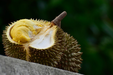 Durian
Is a delicious and expensive seasonal fruit.