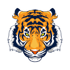 Tiger design as a graphic element