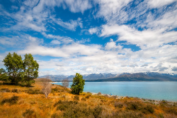 Obraz premium Lake Pukaki is a glacial alpine lake in New Zealand's South Island, famous for its distinctly milky blue color, set in a glacier-carved valley surrounded by snow-capped mountain peaks.