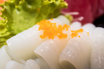 Squid  sashimi