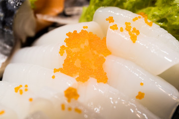 Squid  sashimi