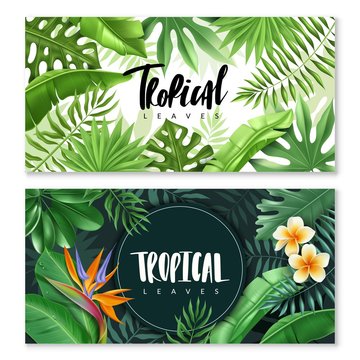 Tropical leaves horizontal banners