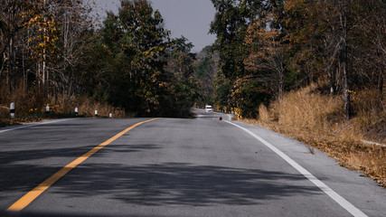 road in autumn