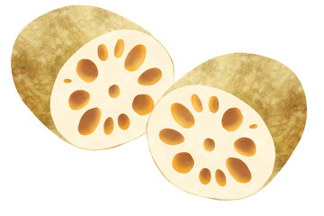 蓮根
