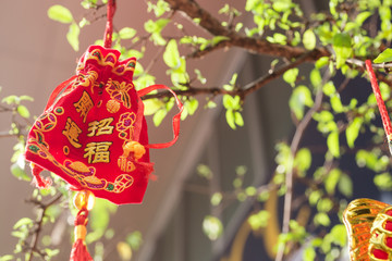 Chinese new year background. Decoration chinese style.