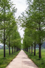 Gyeongpo ecological reservoir park