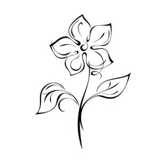 ornament 1147. blooming flower with large petals on the stem with leaves in black lines on a white background