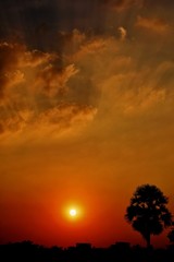 orange sky