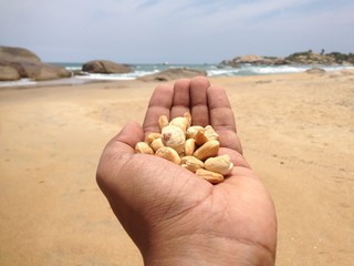 hand holding a handful of nuts on the beach