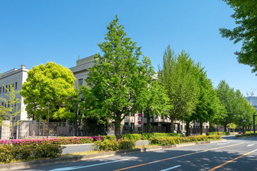 Naklejka premium 国立国会図書館