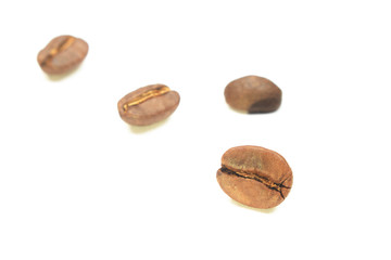 Obraz premium coffee beans. isolated on a white background