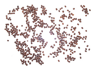 coffee beans. isolated on a white background