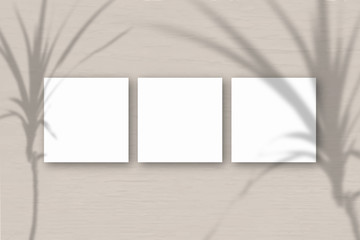 Fototapeta premium 3 square sheets of white textured paper on the gray wall background. Mockup overlay with the plant shadows. Natural light casts shadows from a tropical plant. Flat lay, top view