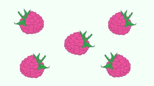 Fresh pink red dancing raspberry background. Funny clip. Hand drawn animation.