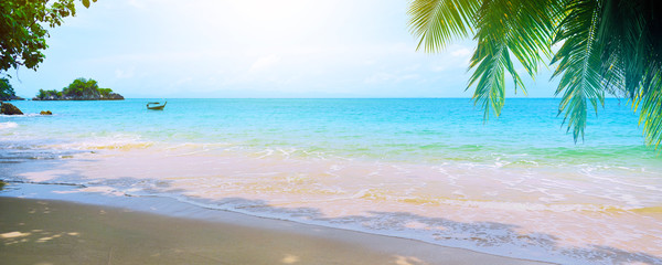 Obraz na płótnie Canvas tropical beach with palm trees