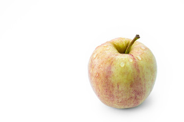 one isolated apple on a white background