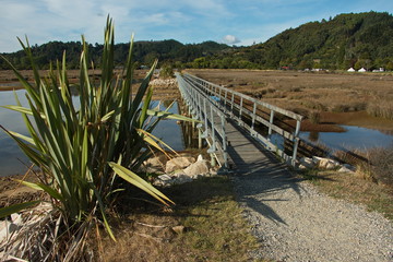 Fototapeta na wymiar Coastal track in Marahau,Tasman Bay in Abel Tasman National Park,Tasman Region on South Island of New Zealand 