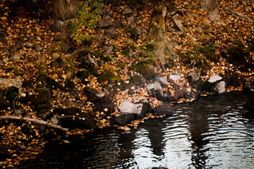 Autumn landscape